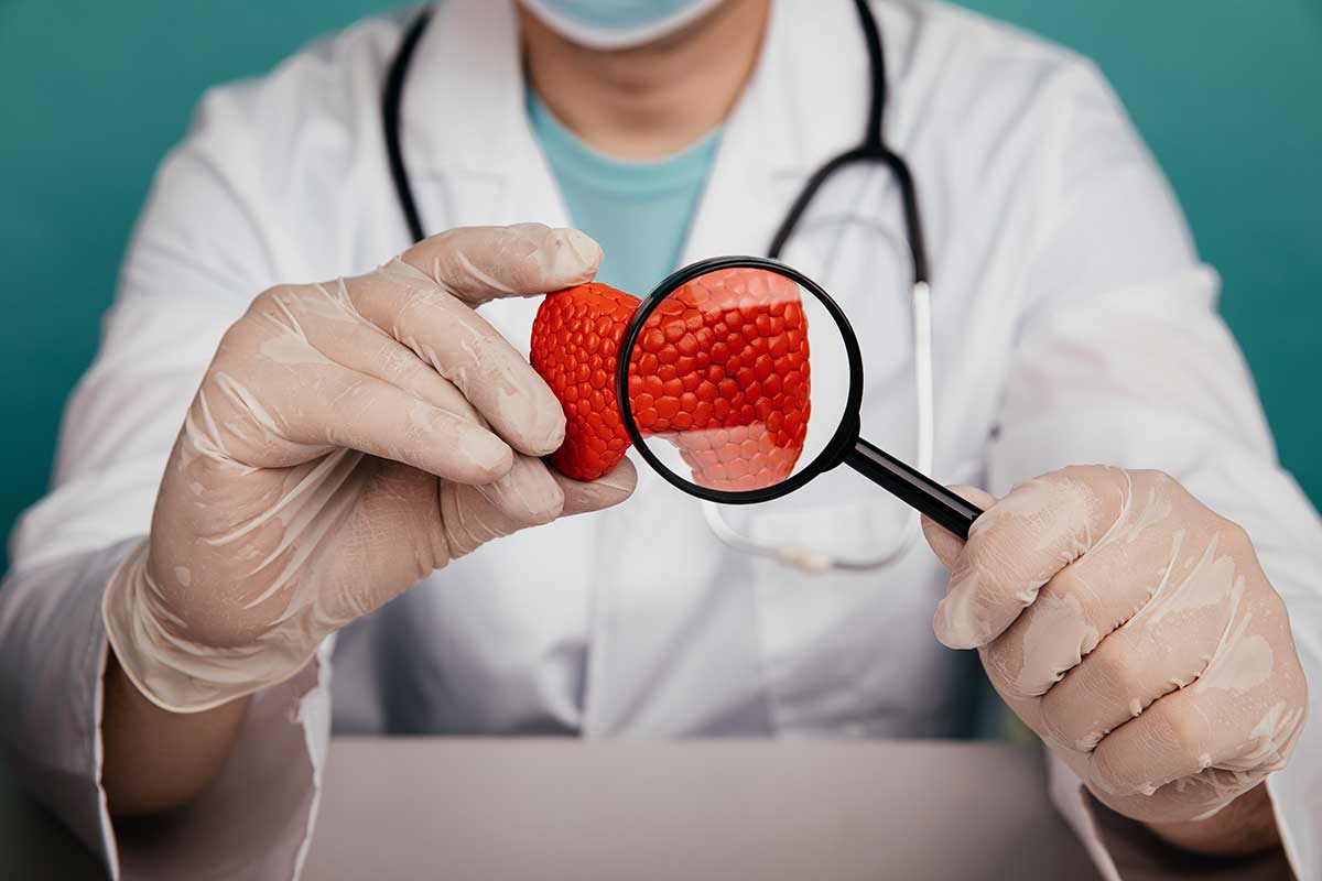 Endocrinologista em Palma Sola / SC